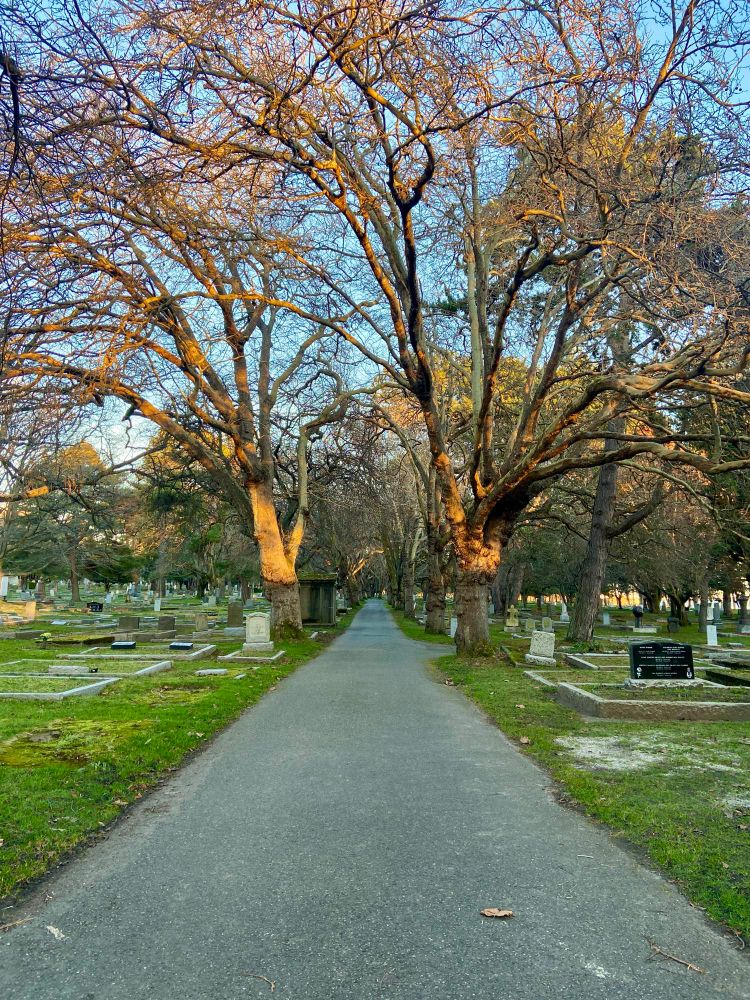 A road in Ross Bay Cemetery 