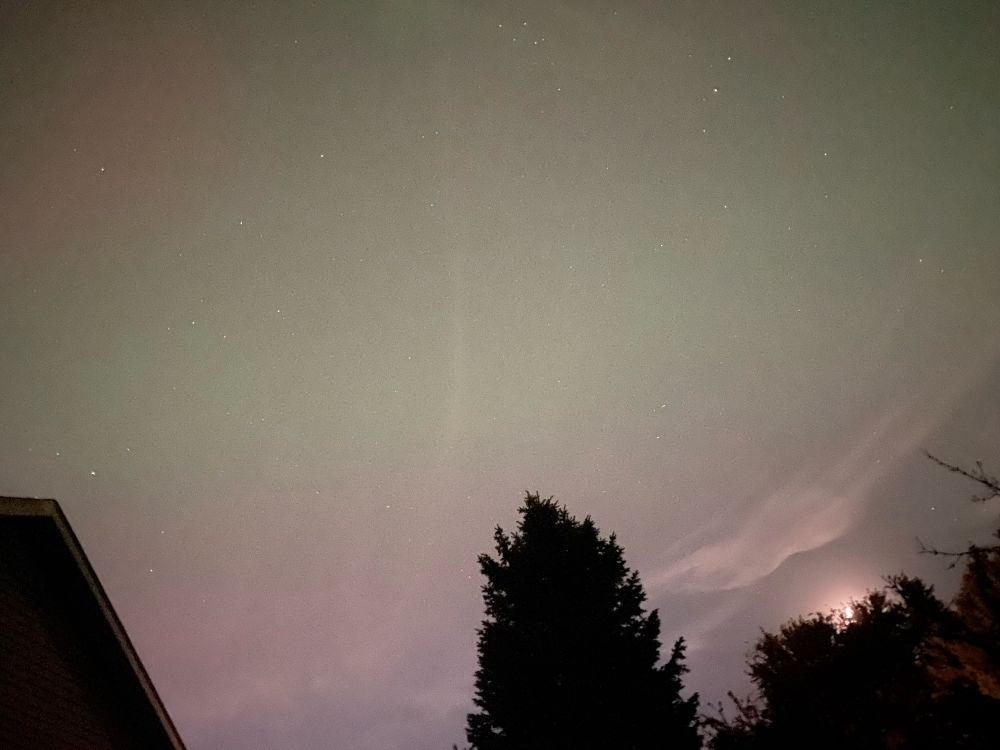 Northern lights from eastern WI—silhouette of a tree with a green and hot pink sky.