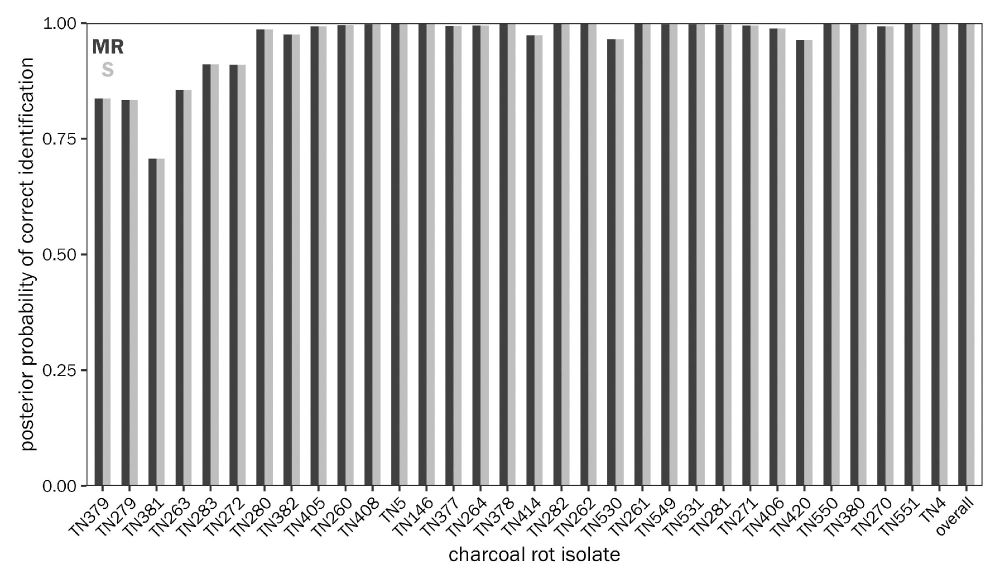 Fig. 1.
Experiment 1. The posterior probability of correctly classifying moderately resistant (MR; dark bars) and susceptible (S; light bars) soybean genotypes for each Macrophomina phaseolina isolate given the model fit to the data from experiment 1, the growth chamber study. The MR genotype is DT97-4290, and the S genotype is LS98-0358.