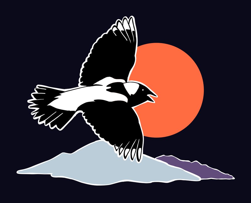 An illustration of a male bobolink in flight