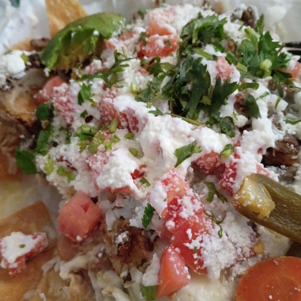 close up of a plate of nachos. tomatoes, crema, herbs, jalapenos, chips, all the things!