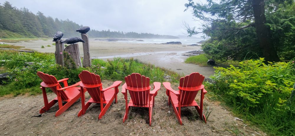 Four bright red Adirondack chairs face a wild beach, while three crows (sculptures) stand guard. 