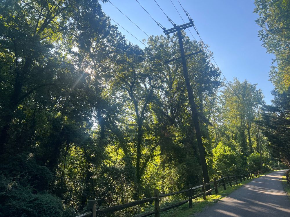 Trees, sky, and fence this morning along the Baltimore Annapolis Trail.