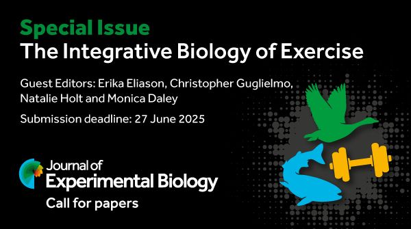 A card announcing the call for papers stating 'Special Issue: The Integrative Biology of Exercise Guest Editors: Erika Eliason, Christopher Guglielmo, Natalie Holt and Monica Daley Submission deadline: 27 June 2025' with the Journal of Experimental Biology logo and the logo for the Special Issue containing a fish on the bottom left, a flying goose on the top and a dumbbell on the bottom right.