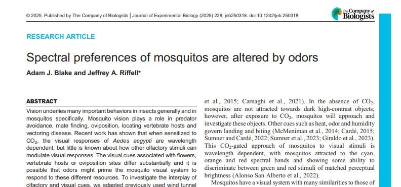 A screenshot of the PDF of the research article, Spectral preferences of mosquitos are altered by odors, by Adam J. Blake and Jeffrey A. Riffell. The publication statement states: © 2025. Published by The Company of Biologists | Journal of Experimental Biology (2025) 228, jeb250318. doi:10.1242/jeb.250318.
The first sentence of the abstract reads: Vision underlies many important behaviors in insects generally and in mosquitos specifically.
