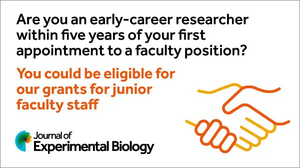 Social media postcard that says: Are you an early-career researcher within five years of your first appointment to a faculty position? You could be eligible for our new grants for junior faculty staff The Journal of Experimental Biology logo is in the bottom left corner. The Kickstart grant logo, two hands shaking, is in the bottom right corner.