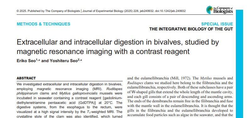 Screenshot of the Methods & Techniques article, Extracellular and intracellular digestion in bivalves, studied by magnetic resonance imaging with a contrast reagent, published by Eriko Seo and Yoshiteru Seo in the Journal of Experimental Biology Special Issue: The Integrative Biology of the Gut. The publishing information states: © 2025. Published by The Company of Biologists | Journal of Experimental Biology (2025) 228, jeb249932. doi:10.1242/jeb.249932. The first sentence of the Abstract reads: 'We investigated extracellular and intracellular digestion in bivalves, employing magnetic resonance imaging (MRI).