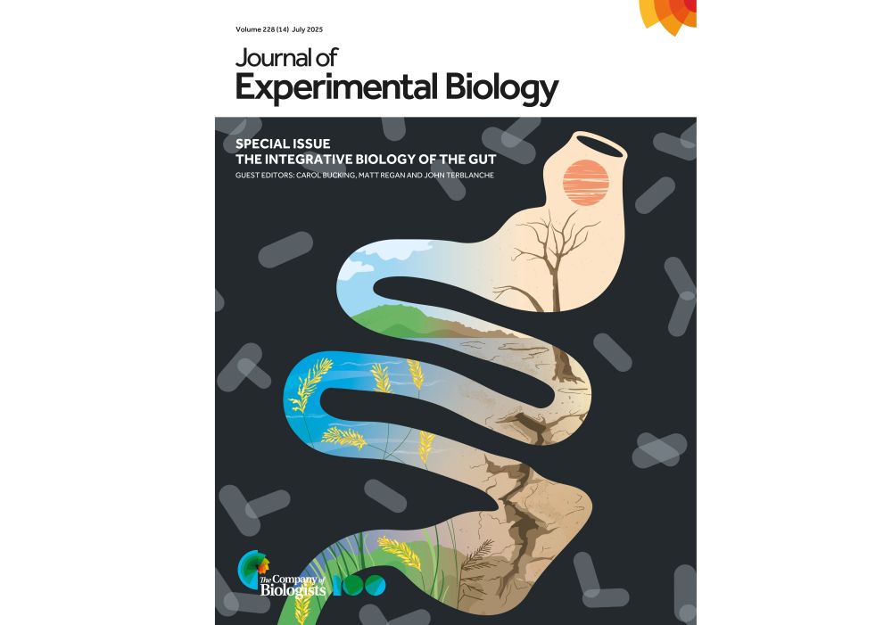 The front cover of Journal of Experimental Biology, Volume 228, issue 14, July 2025, a Special Issue dedicated to The Integrative Biology of the Gut, Guest Editors: Carol Bucking, Matt Regan and John Terblanche.
The image on the front cover shows the Special Issue icon -- a generic gut overlaying an image of an environment including the sun, a tree, the soil, a lake and some bacteria -- against a black background with idealised microbes (grey) distributed randomly. 
The Company of Biologists 100 logo is in the bottom left of the cover.