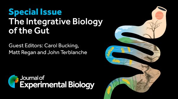 Social media postcard promoting the JEB Special Issue: The Integrative Biology of the gut.

The card includes the Guest Editors names: Carol Bucking, Matt Regan and John Terblanche. 

The Journal of Experimental logo is in the bottom left of the card and the Special Issue icon -- showing a generic gut overlaying a image of an environment including the sun, a tree, the soil, a lake and some bacteria -- is on the right side of the card