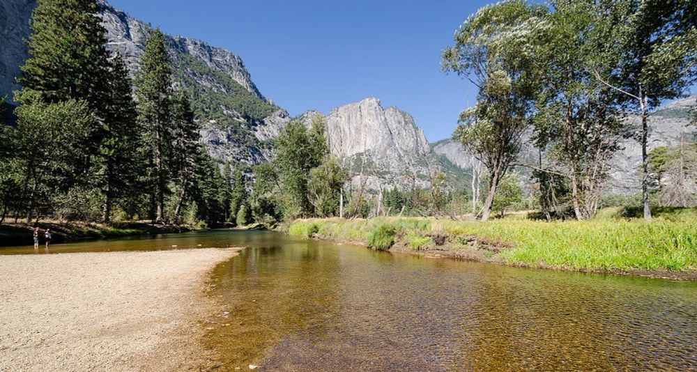 Exploring the Best National Parks in California: From Yosemite to Joshua Tree