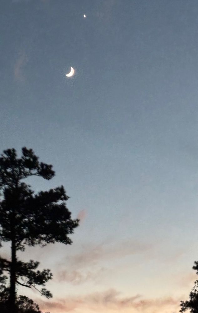 Somewhat blurry photo through the windshield of a car of a darkening sky. Venus and the waxing crescent moon are visible toward the top of the photo with trees to the left and right side of the foreground. There are scattered pinkish clouds across the bottom of the photo. 