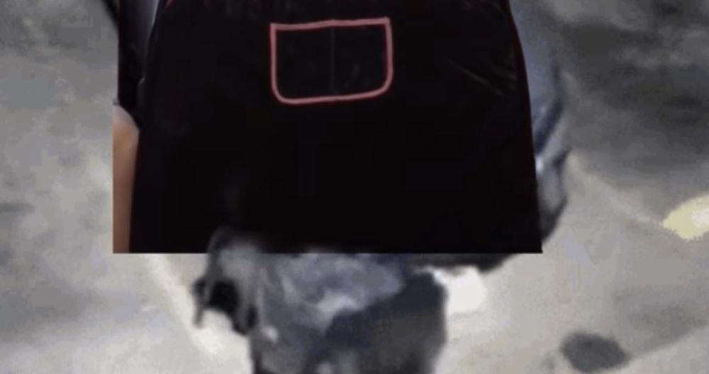 Comment image