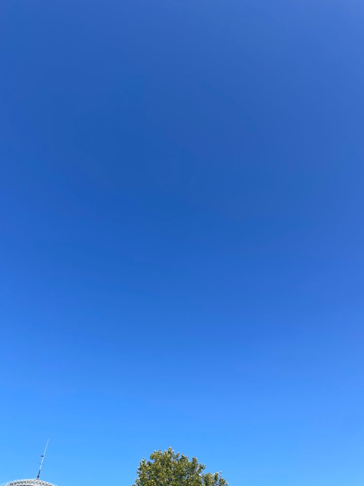 Blue sky and top of a tree