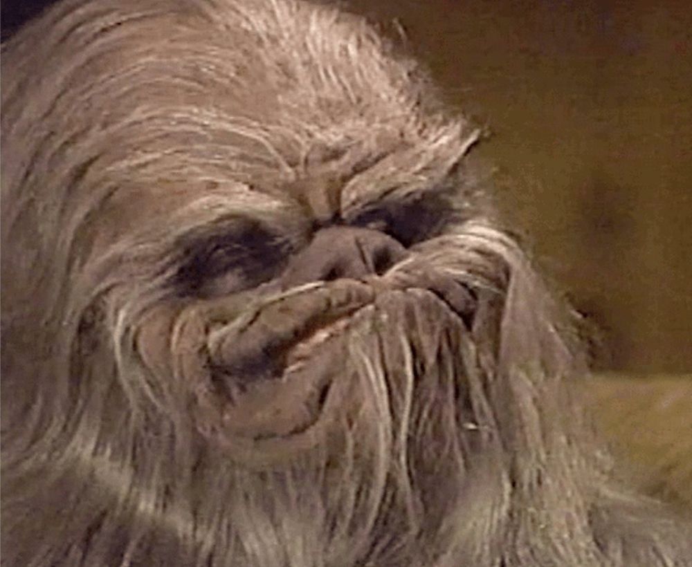 Itchy the elderly Wookiee flashing his trademark toothless grin 