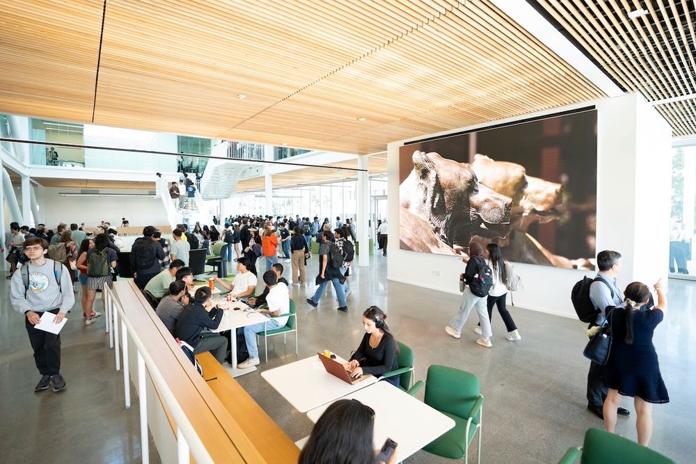 Attendees fill the Elijah & Joshua Widjaja Study Lounge during the Grimes Engineering Center’s opening celebration at UC Berkeley on April 21. (Photo by Adam Lau/Berkeley Engineering)