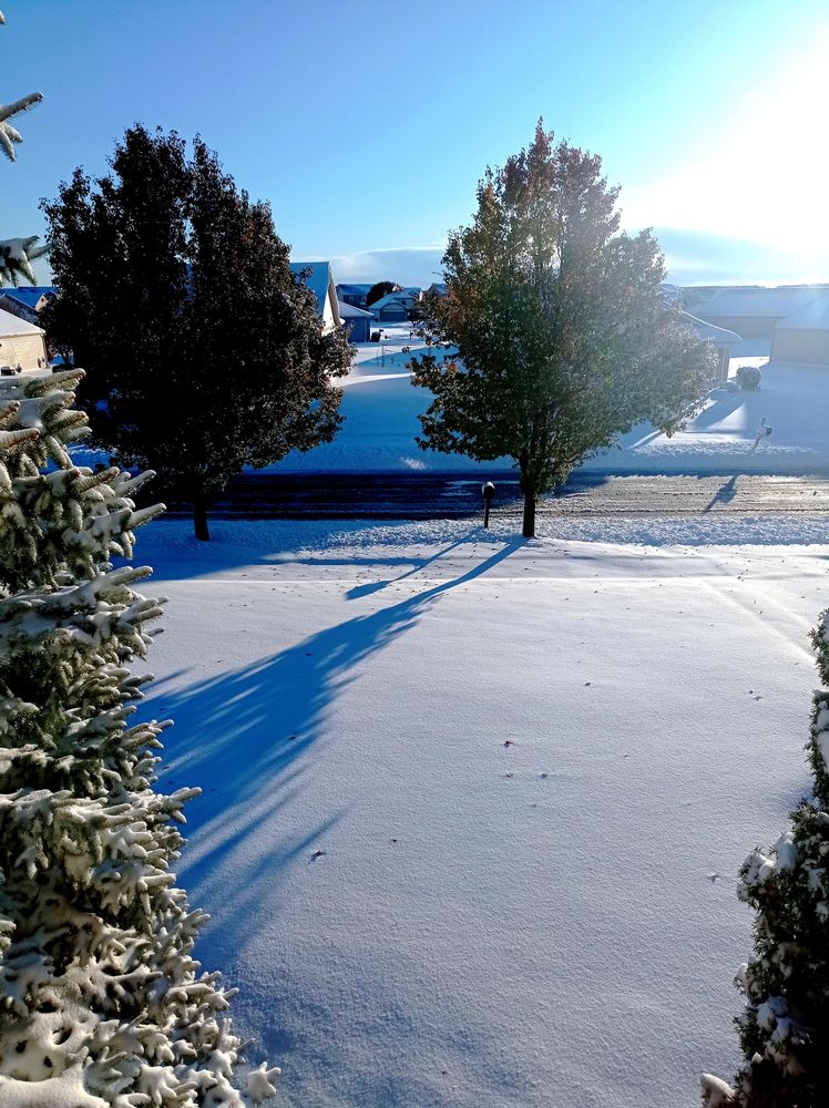 A view of a snowy scene with trees, houses, a plowed street, and blue skies.
