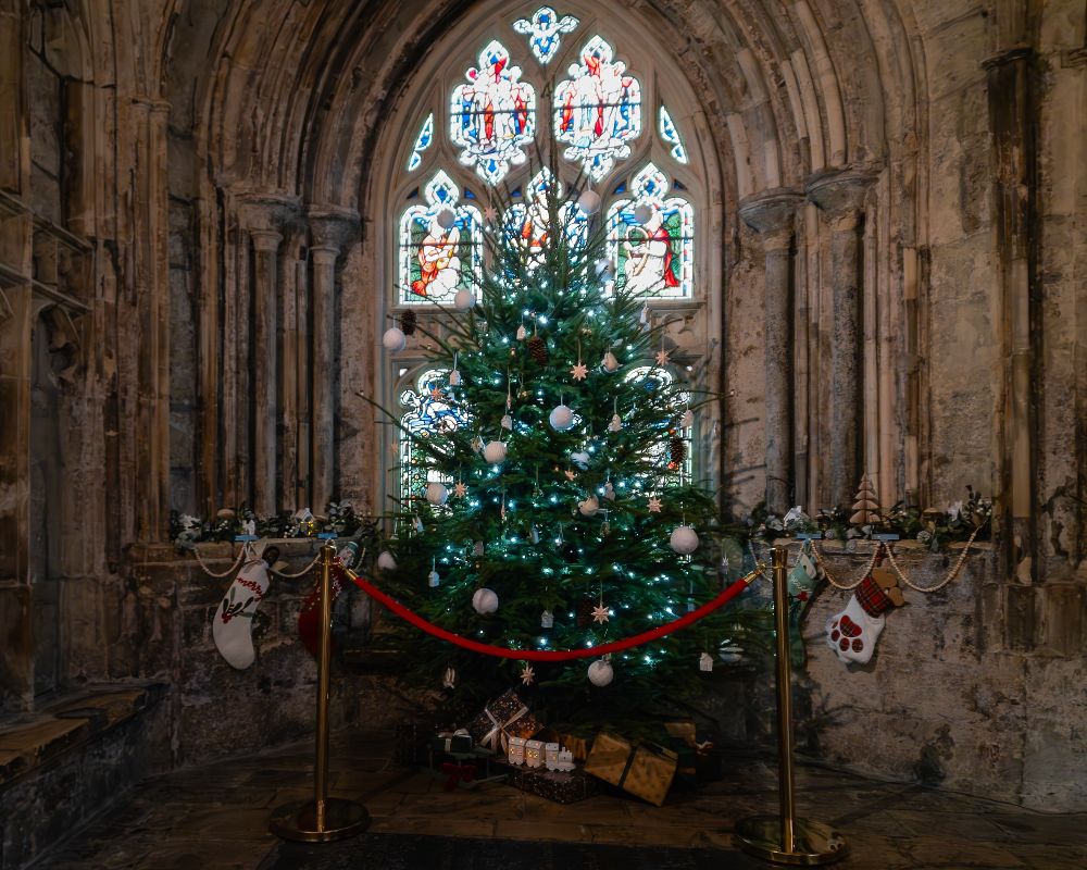 A Christmas tree in front of a stained glass window in the cloisters at Gloucester cathedral 