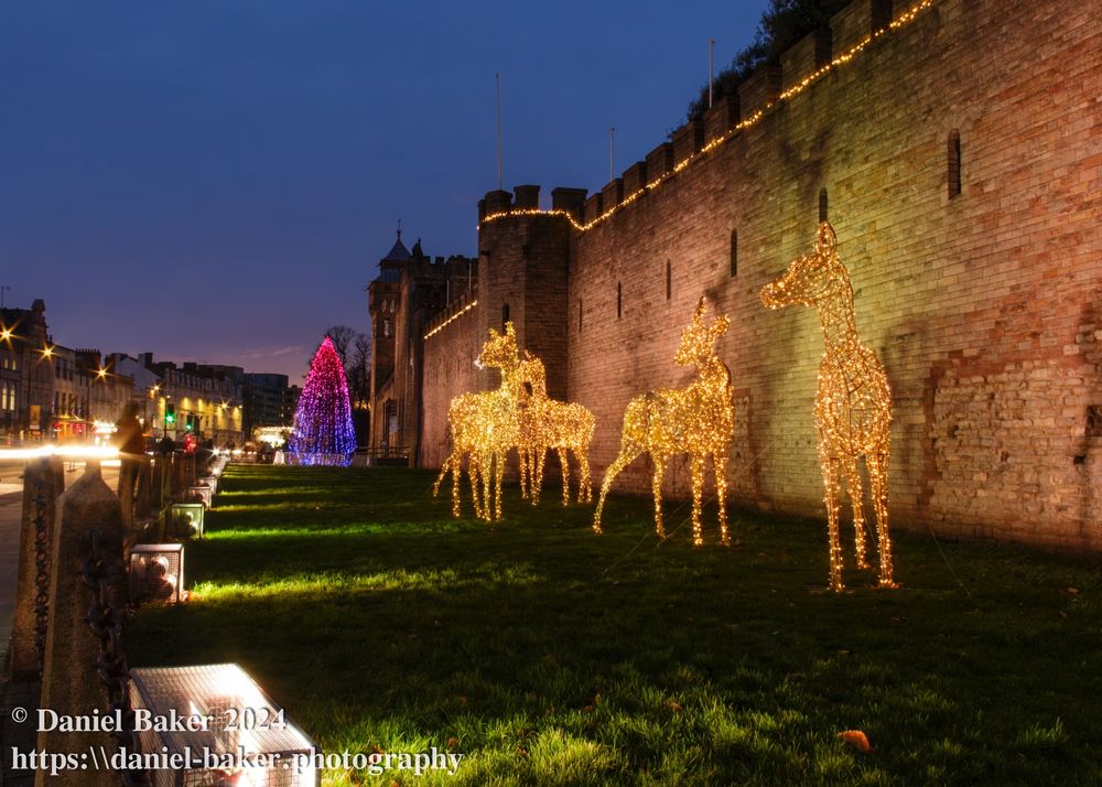 Cardiff Castle wall with lights in the shape of reindeer and a Christmas tree