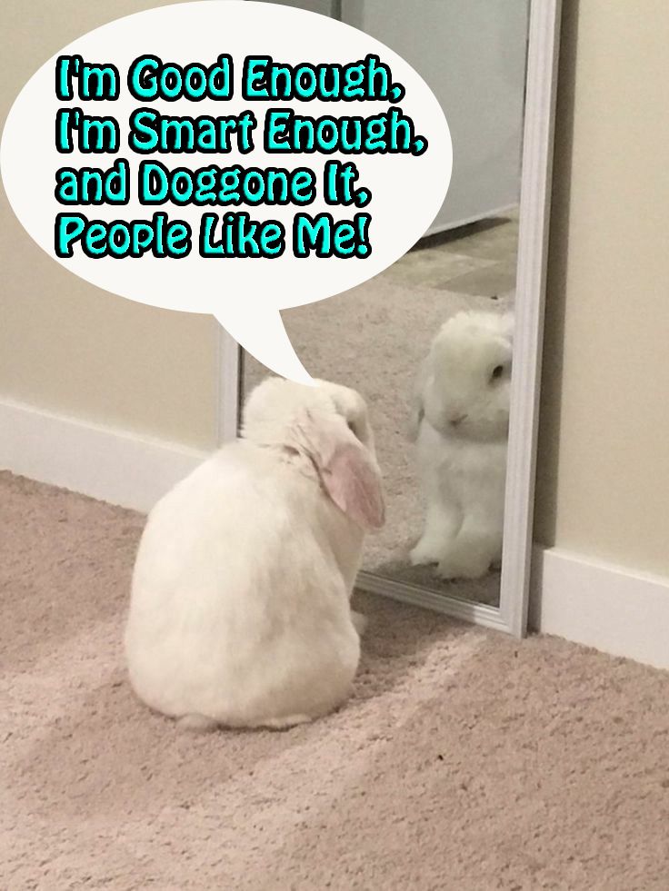 Comment image