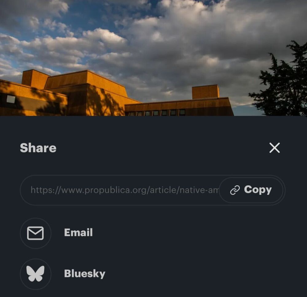 Screenshot of the top of a menu that pops up when a reader clicks the "Share" button on a ProPublica article. Under the title "Share" and the story link (along with a "Copy" link button), the menu starts with an envelope icon next to "Email" and a butterfly icon next to "Bluesky."
