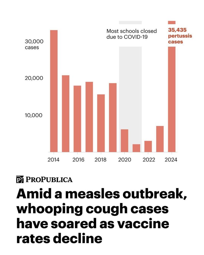 Text: Amid a measles outbreak, whooping cough cases have soared as vaccine rates decline. Graph: Bar chart  with year on the x-axis (2014-2024) and number of whooping cough cases on the y-axis (0 through 30,000). The chart shows that cases of pertussis were over 30,000 in 2014, but remained at or below 20,000 from 2015 through 2023. In 2020 and 2021, cases dropped to a record low (below 10,000) because most schools closed due to COVID-19. But in 2024, cases shot back up to 35,435.