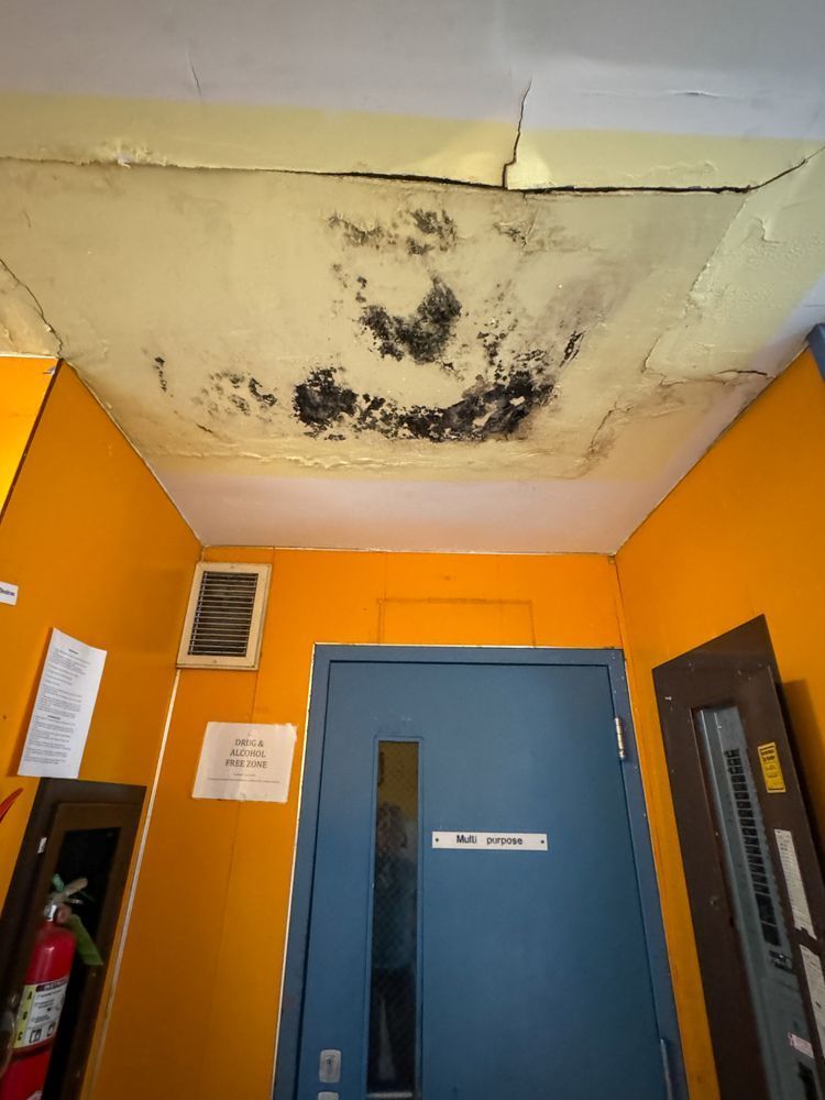 Large patches of black mold can be seen on the yellow ceiling of a school hallway in Alaska. The walls of the hall are orange and the door ahead is blue.