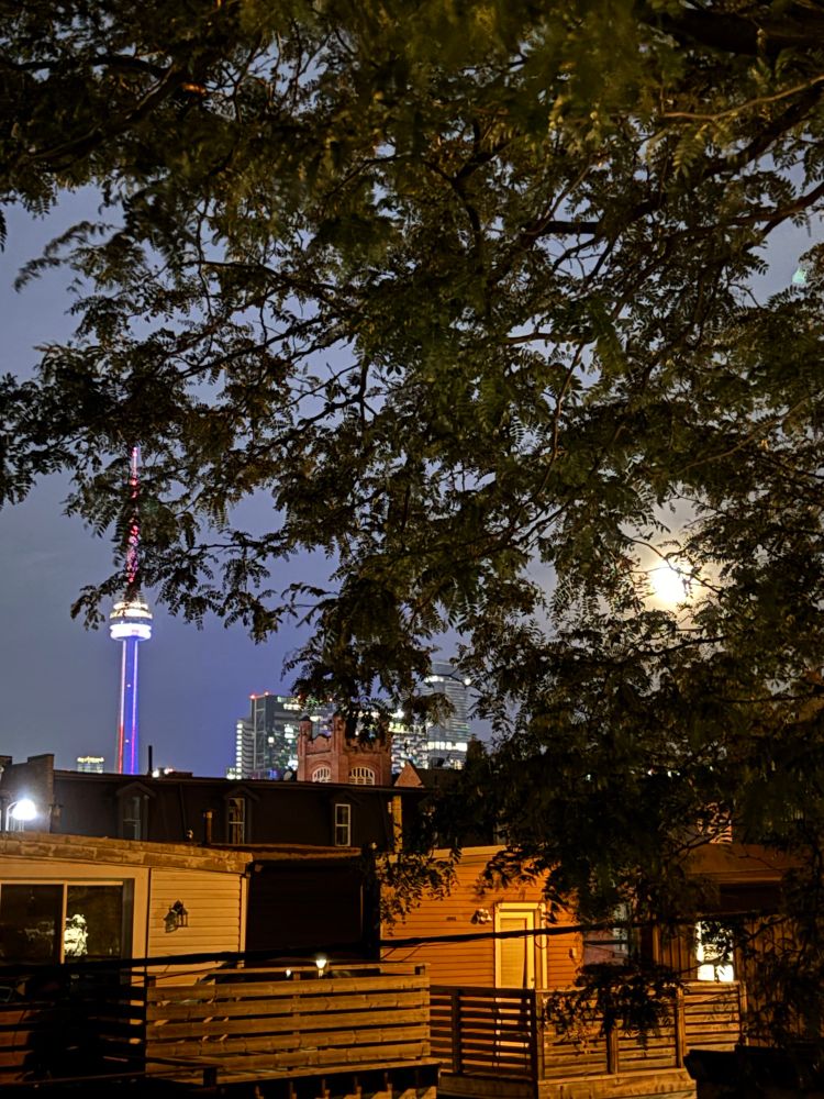 An overexposed full moon rising behind a tree while the CN Tower lurks nearby.