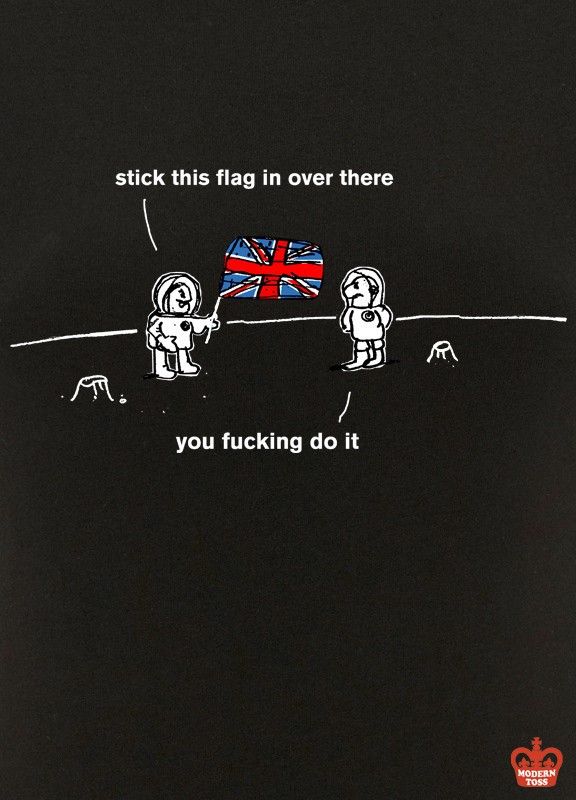A one-panel gag showing two British astronauts on a planet (the moon?). One is holding a union jack flag and saying to the other "stick this flag in over there", and the other responds "you fucking do it".

It is from the Modern Toss website, which I'm not sure even exists any more.