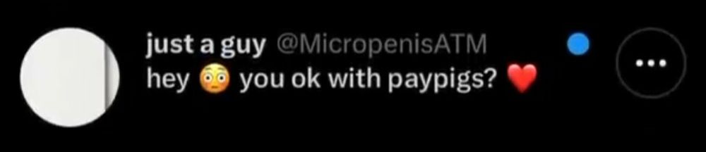 Dm of a man saying "hey😳 you ok with paypigs? ❤