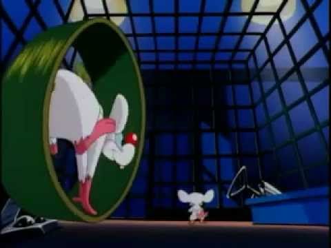 Pinky & The Brain - What Do You Want To Do Today?