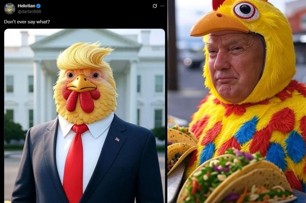 Comment image