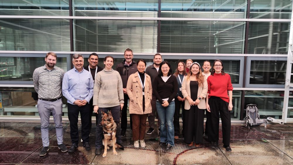 A diverse group of thirteen people, including men and women, stand together smiling at the EuroCC@GCS all-hands meeting. They are positioned in front of a modern building with large windows. The front row includes seven people and a German Shepherd guide dog with her handler. Attire ranges from casual to smart-casual, featuring sweaters, shirts, and jackets. A backpack is visible on the ground to the right. The background shows the building's interior with blinds and office furniture.