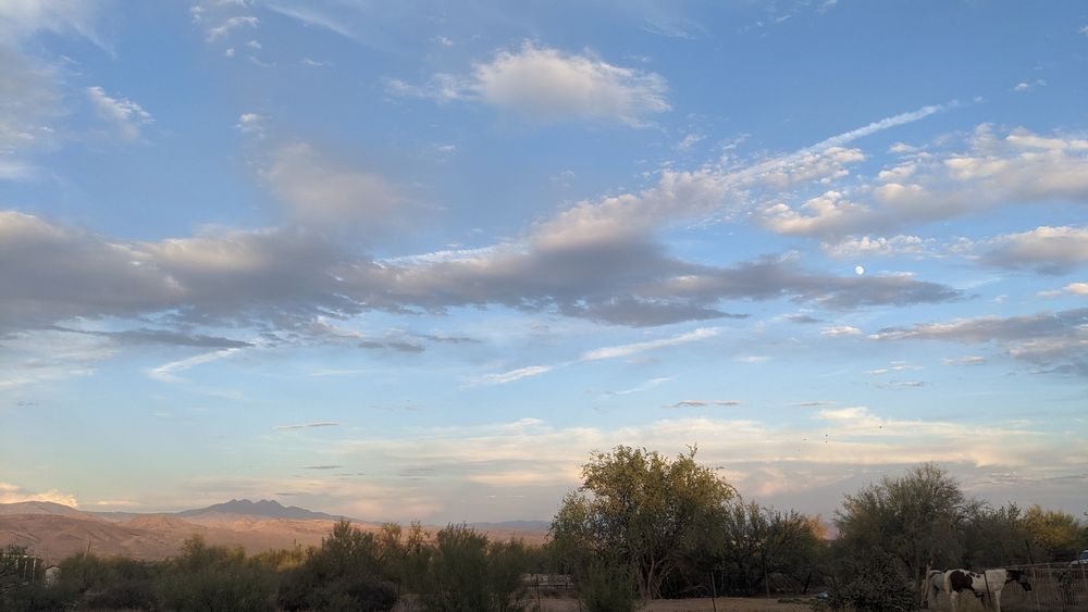 A serene desert landscape in Arizona features distant mountains, including the Four Peaks, under a vast blue sky dotted with wispy clouds and a faint visible moon. In the foreground, sparse vegetation includes green trees, bushes, and a tall saguaro cactus, bathed in soft, warm light suggesting either sunrise or sunset.