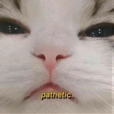 White and black cat squinting with the word “pathetic” written at the bottom