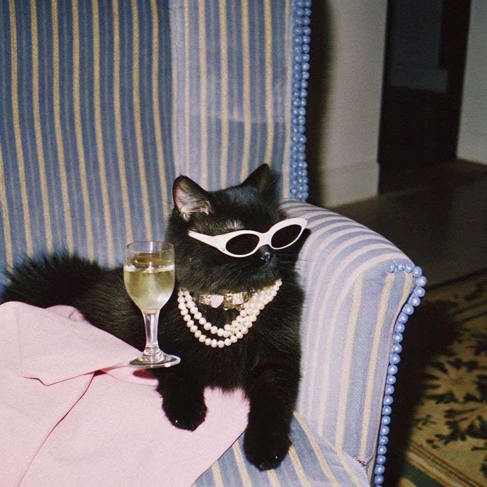A black cat wearing white glasses, a string of pearls and holding a champagne glasses while sitting in a blue and white arm chair 