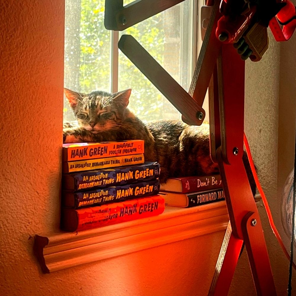 the same kitty being the cutest, sitting in the sunshine on a windowsill covered in copies of hank green's books in a very orange picture