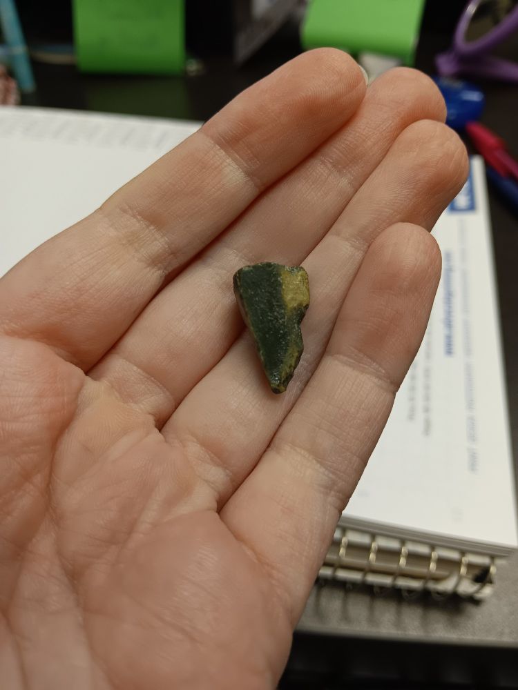 A small rock being held in a palm.