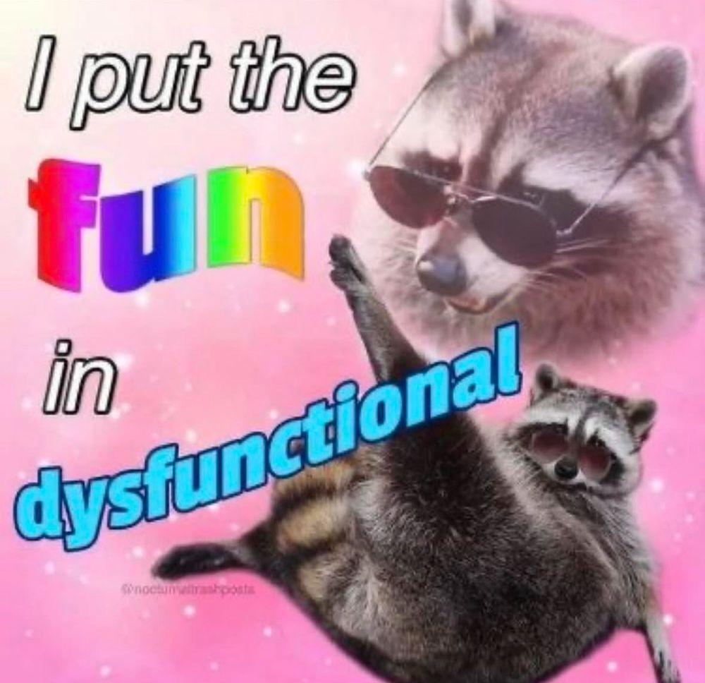 I put the fun in dysfunctional
