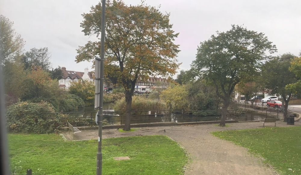 Photo from interior of a bus. A wide shot of some trees and grass.