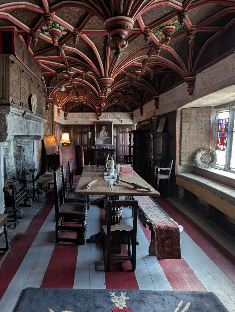 Old ass Irish castle study