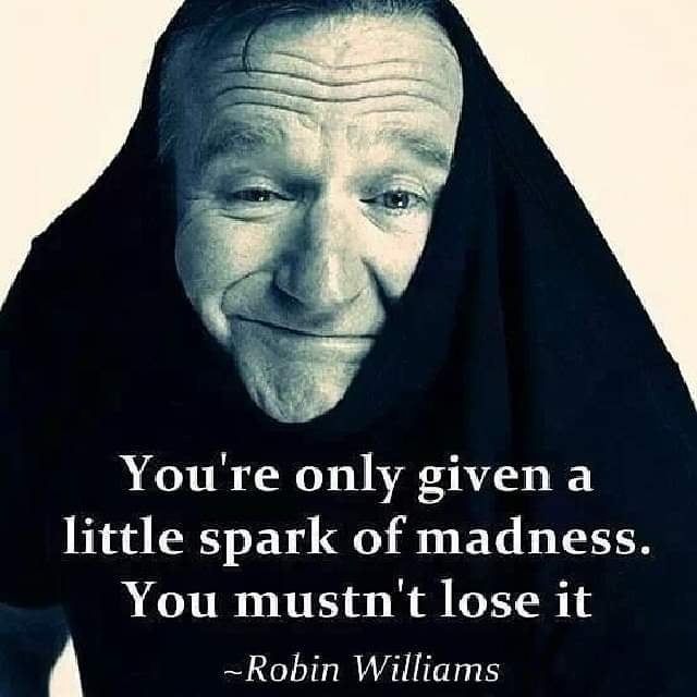 Robin Williams with the collar of a black shirt over his head, white text of his quote: "You're only given a little spark of madness. You mustn't lose it."