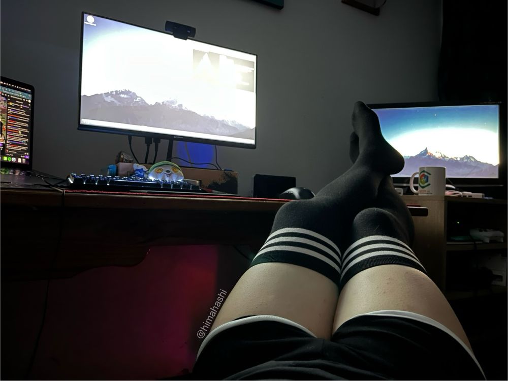 Thigh highs and shorts :3c