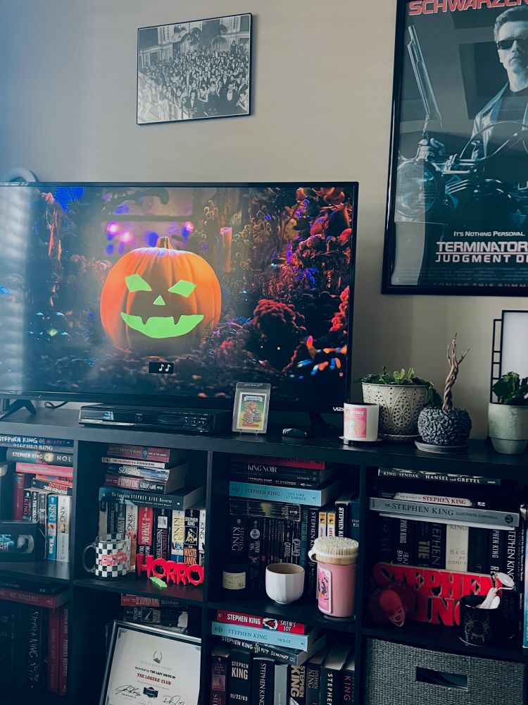 Picture of a bookshelf with Stephen Ling books and the Ghoul Log on TV