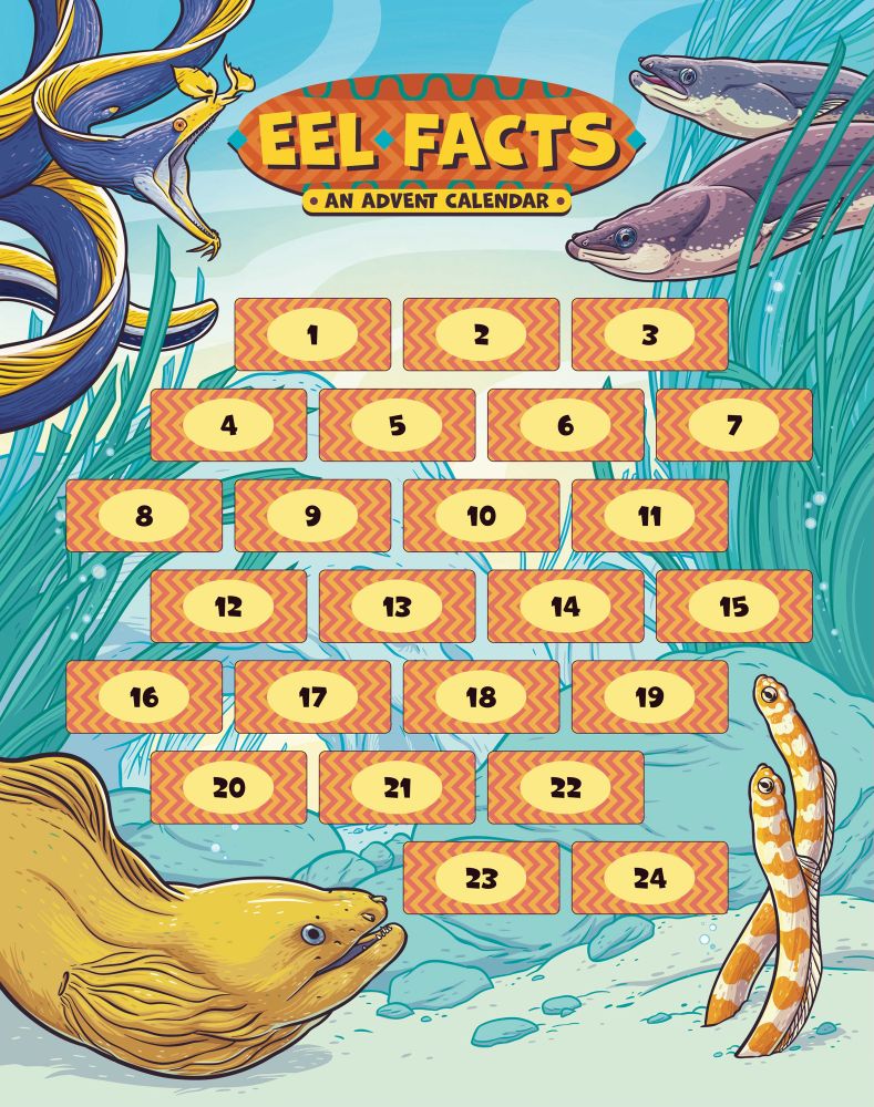 The eel facts advent calendar has 5 species of eel on it, ribbon eels which are royal blue and bright yellow, american and european eels hanging out in some eelgrass, a yellow moray, and 2 splendid garden eels which are orange and yellow. The boxes are all numbered in fun boxes with orange and light organ zigzags and a yellow oval in each with the number of the day