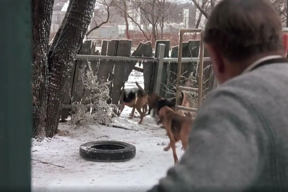 The hounds from the film A Christmas Story. 