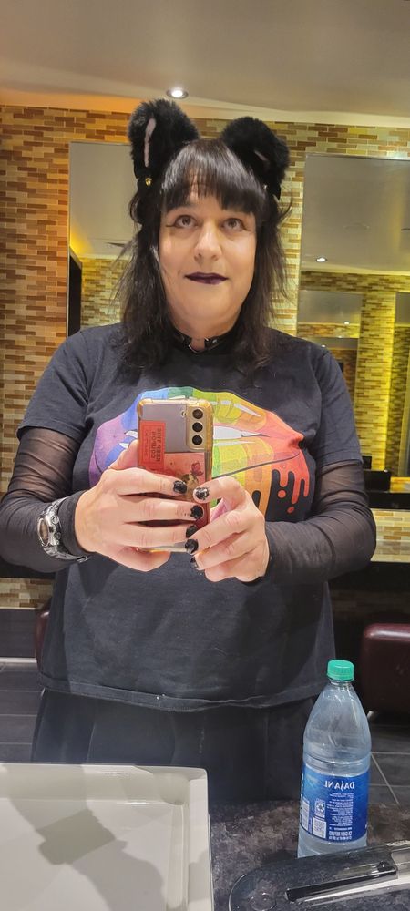 Me wearing a mesh top, with a T-shirt with rainbow colored lips, and cat ears, taking an obligatory restroom mirror selfie.