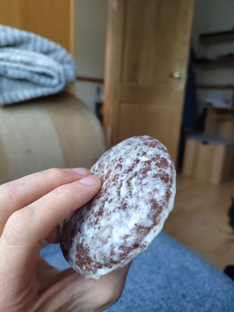 A hand holding a German Lebkuchen. 
