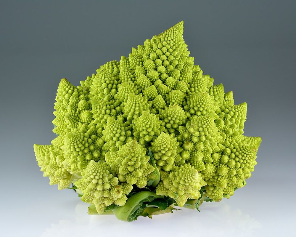 Une photo de cette splendeur de la nature qu'est le chou romanesco