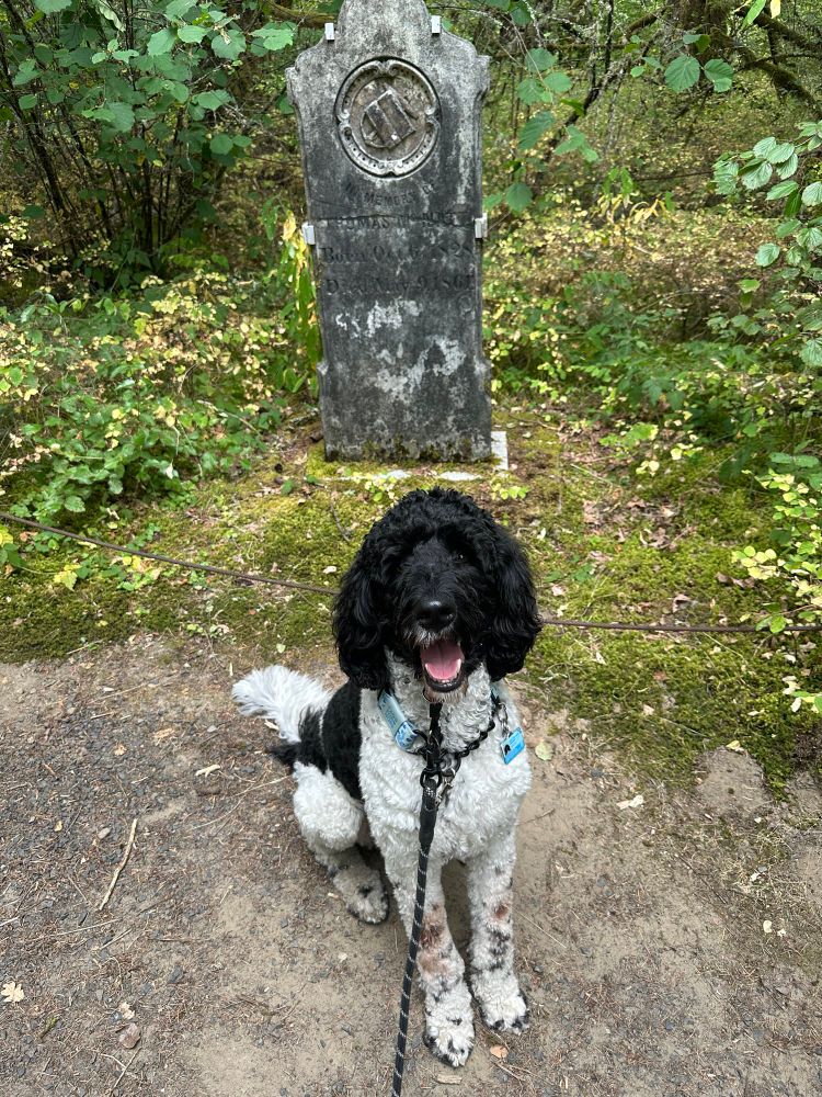 Sprocket sitting in front of the gravestone marker for Thomas McNatt, an early settler to the area.