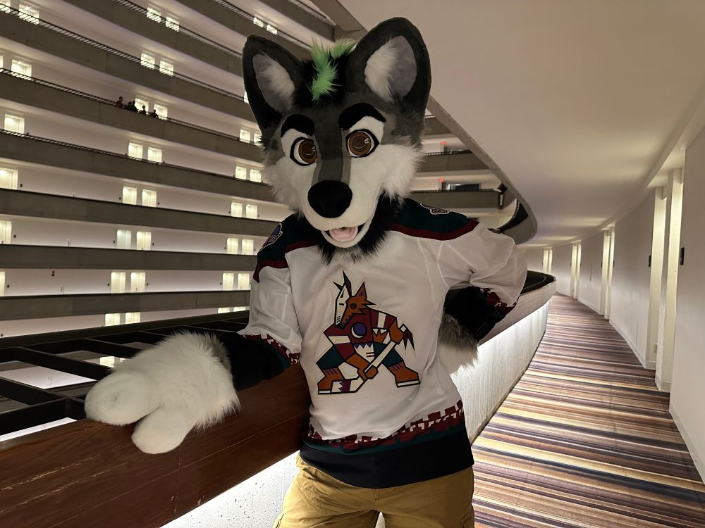 Me in my furstuit head, paws, and Coyotes jersey